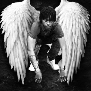 Meet your Posher, Ronnie